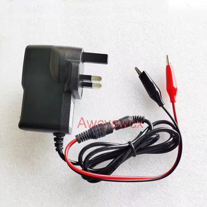 DC 4.2V 8.4V 7.2V 12.6V 13.8V 16.8V 1A 1000mA Adapter PSU Charger for  1S 2S 3S 4S 18650 Lithium Battery Alligator Clips